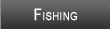 Cheatham Lake Fishing